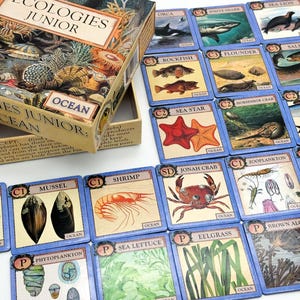 Ecologies Junior: Ocean - Memory Game en Food Web Builder voor kinderen van 4 jaar en ouder - Leer trofische niveaus en het oceaanleven met prachtige vintage kunst