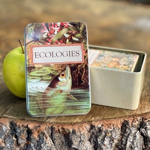 Ecologies Tin Durable Metal Travel Box for Card Games, Natural Treasures, Trinket Storage Featuring Beautiful Vintage Art image 1