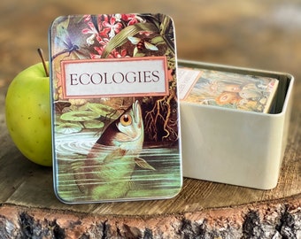 Ecologies Tin - Durable Metal Travel Box for Card Games, Natural Treasures, Trinket Storage - Featuring Beautiful Vintage Art