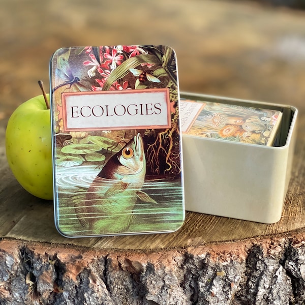 Ecologies Tin - Duurzame metalen reisdoos voor kaartspellen, natuurlijke schatten, opbergen van sieraden - met prachtige vintage kunst