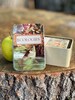 Ecologies Tin - Durable Metal Travel Box for Card Games, Natural Treasures, Trinket Storage - Featuring Beautiful Vintage Art 