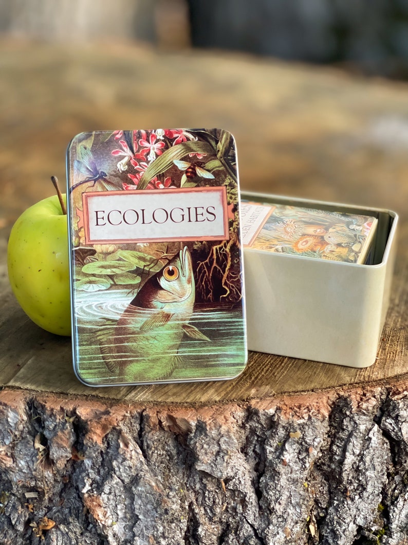 Ecologies Tin Durable Metal Travel Box for Card Games, Natural Treasures, Trinket Storage Featuring Beautiful Vintage Art image 1