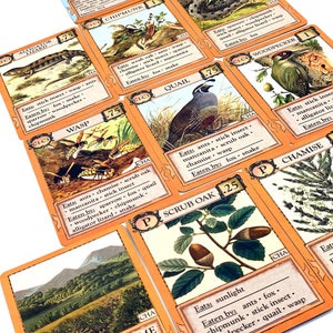 Ecologies: Bizarre Biomes Gameplay Inspired by Nature Sequel and Expansion to the Original Card Game Beautiful Vintage Scientific Art image 9