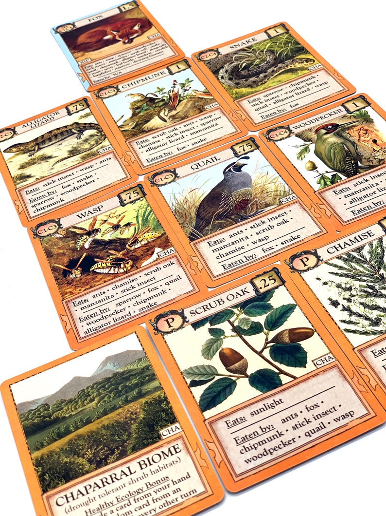 Ecologies: Bizarre Biomes Gameplay Inspired by Nature Sequel and Expansion to the Original Card Game Beautiful Vintage Scientific Art image 9