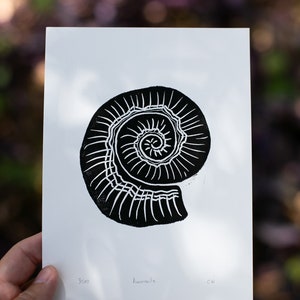AMMONITE Dinosaur Fossil, Lino Cut Print, Wall Decor