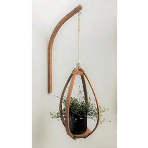 Steam Bent Oak Hängeampel - Wand Montiert