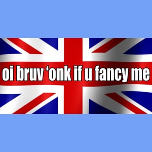 oi bruv honk if you fancy me Funny Bumper Sticker Permanent - 8"x4" Funny Sarcastic Bumper Sticker TikTok Trend British Flag