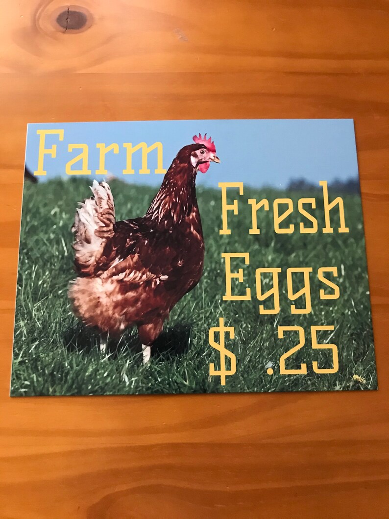 Farm Fresh Eggs 25 wreath sign spring wreath sign Summer image 1