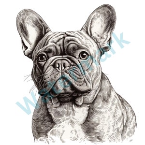 Französische Bulldogge Hunderasse Haustier Welpe Tier K-9 Cute Canine Pedigree Logo .JPG .SVG .PNG Cricut Schnitt Schneiden Clipart Vektor