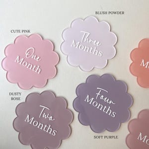 Blumen Baby Meilenstein Set | Baby-Ankündigungsschilder |  Blume New Baby Meilensteine | Monatliche Meilenstein-Scheiben | Neue Baby-Geschenke