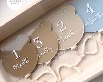 Acrylic Baby Milestone Teddybear. Monthly Milestone discs. Nursery decor. Set of 12