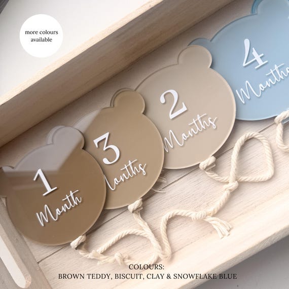 Acrylic Baby Milestone Teddybear. Monthly Milestone discs. Nursery decor. Set of 12