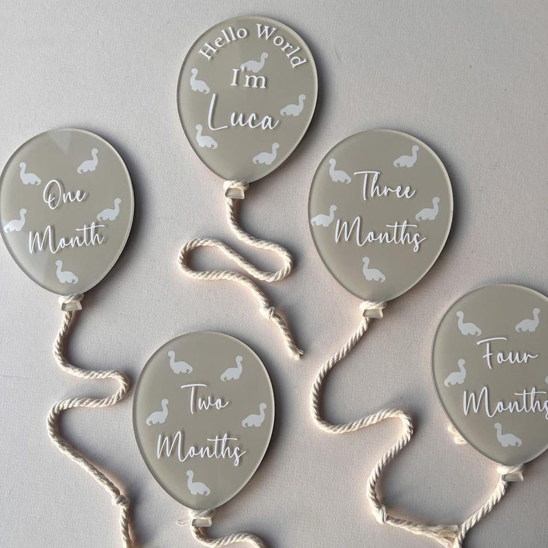 Acrylic Baby Milestone Balloon Discs: Photo Prop Set - Etsy