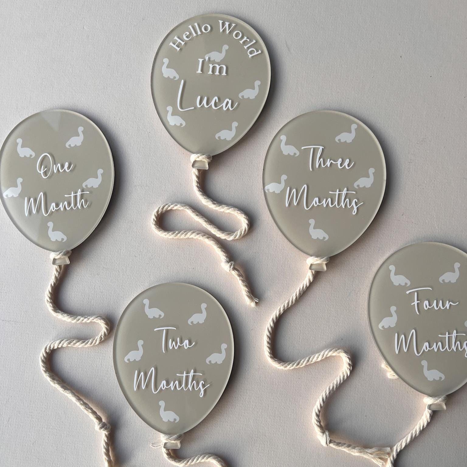 Acrylic Baby Milestone Balloon Discs: Photo Prop Set - Etsy