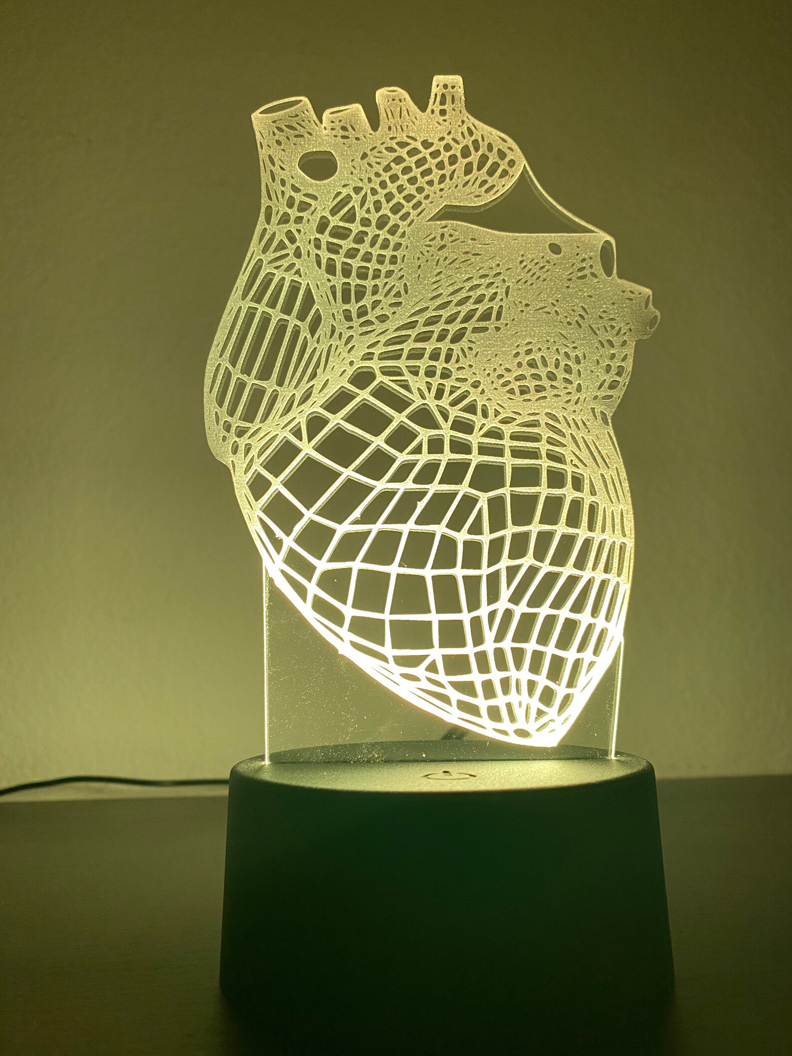 Anatomical Heart LED LAMP lovely | Etsy