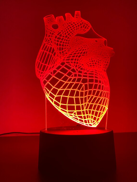 Anatomical Heart LED LAMP lovely | Etsy