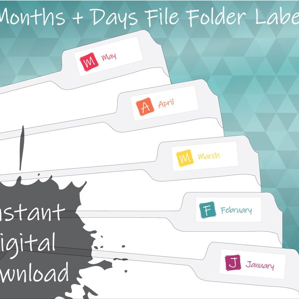 Monthly File Folder Organizer - Etsy