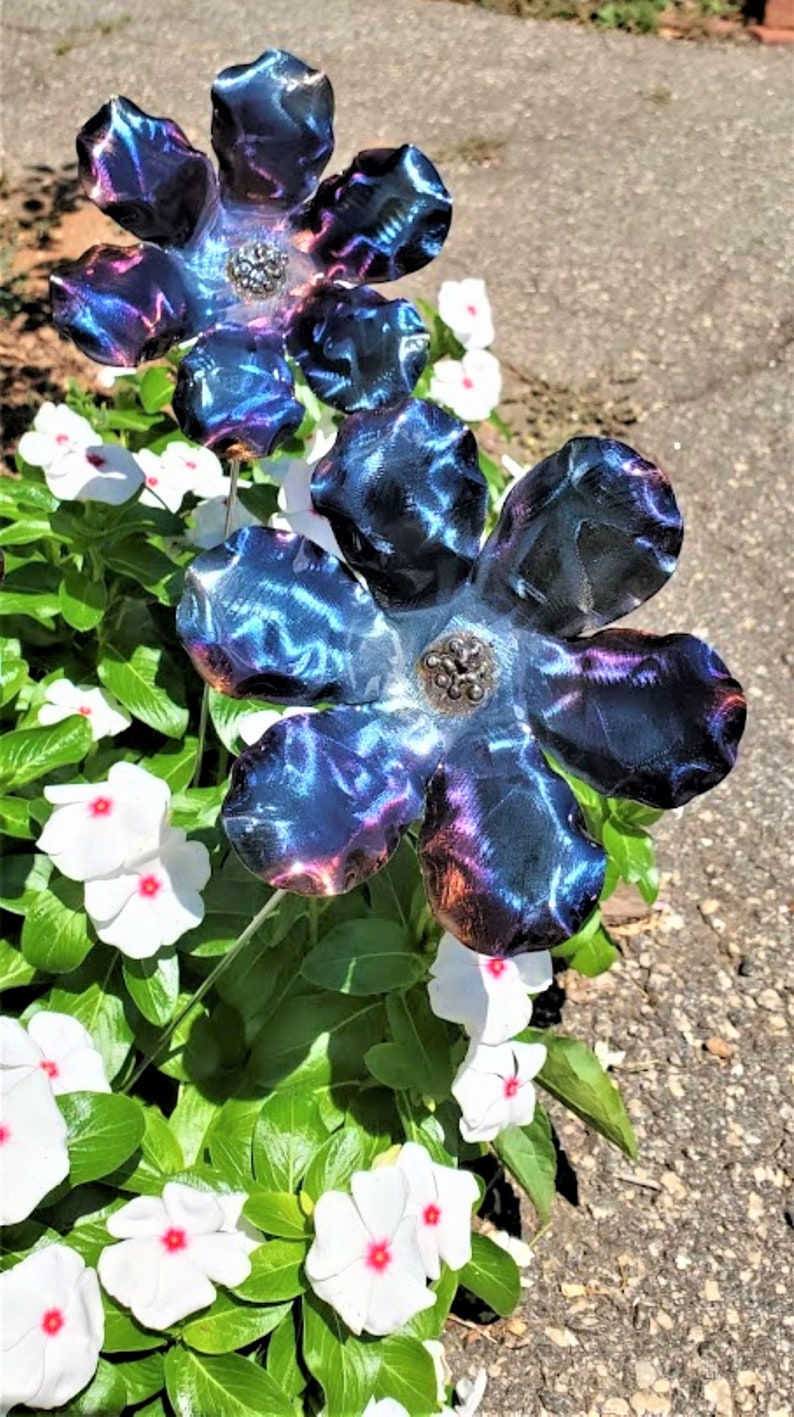 May include: Two metal flowers with a blue and purple iridescent finish. The flowers are made of metal and have a textured surface. The flowers are in a garden setting with white flowers in the background.