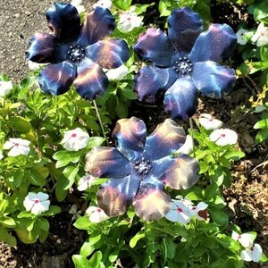 May include: Three metal flowers with iridescent blue and purple petals and a black center. The flowers are in a garden setting with green foliage and white flowers.