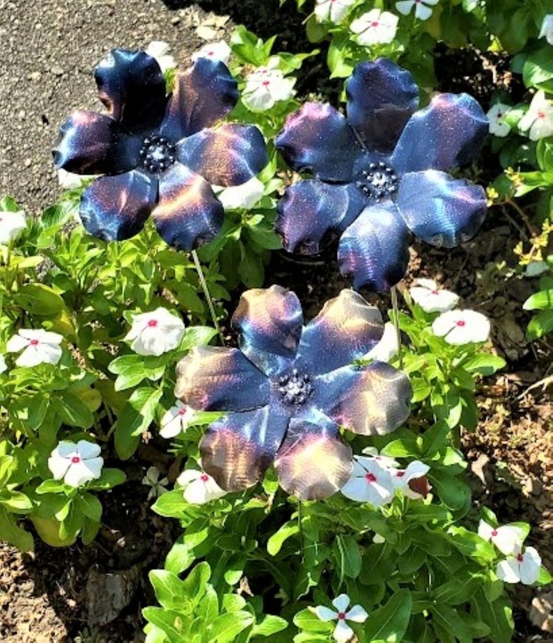 May include: Three metal flowers with iridescent blue and purple petals and a black center. The flowers are in a garden setting with green foliage and white flowers.