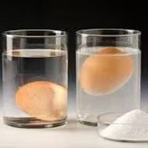 Könnte beinhalten: Zwei klare Glasbecher mit Wasser gefüllt. Einer enthält ein braunes Ei, das auf den Boden gesunken ist. Der andere enthält ein braunes Ei, das schwimmt. Vor den Bechern steht eine kleine, weiße, runde Schale mit weißem Pulver.