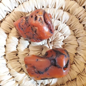 Grano de coral rojo de rama natural bereber antiguo Marruecos 13gr, coral vintage, cuentas étnicas, coral mediterráneo, coral genuino, joyería de coral
