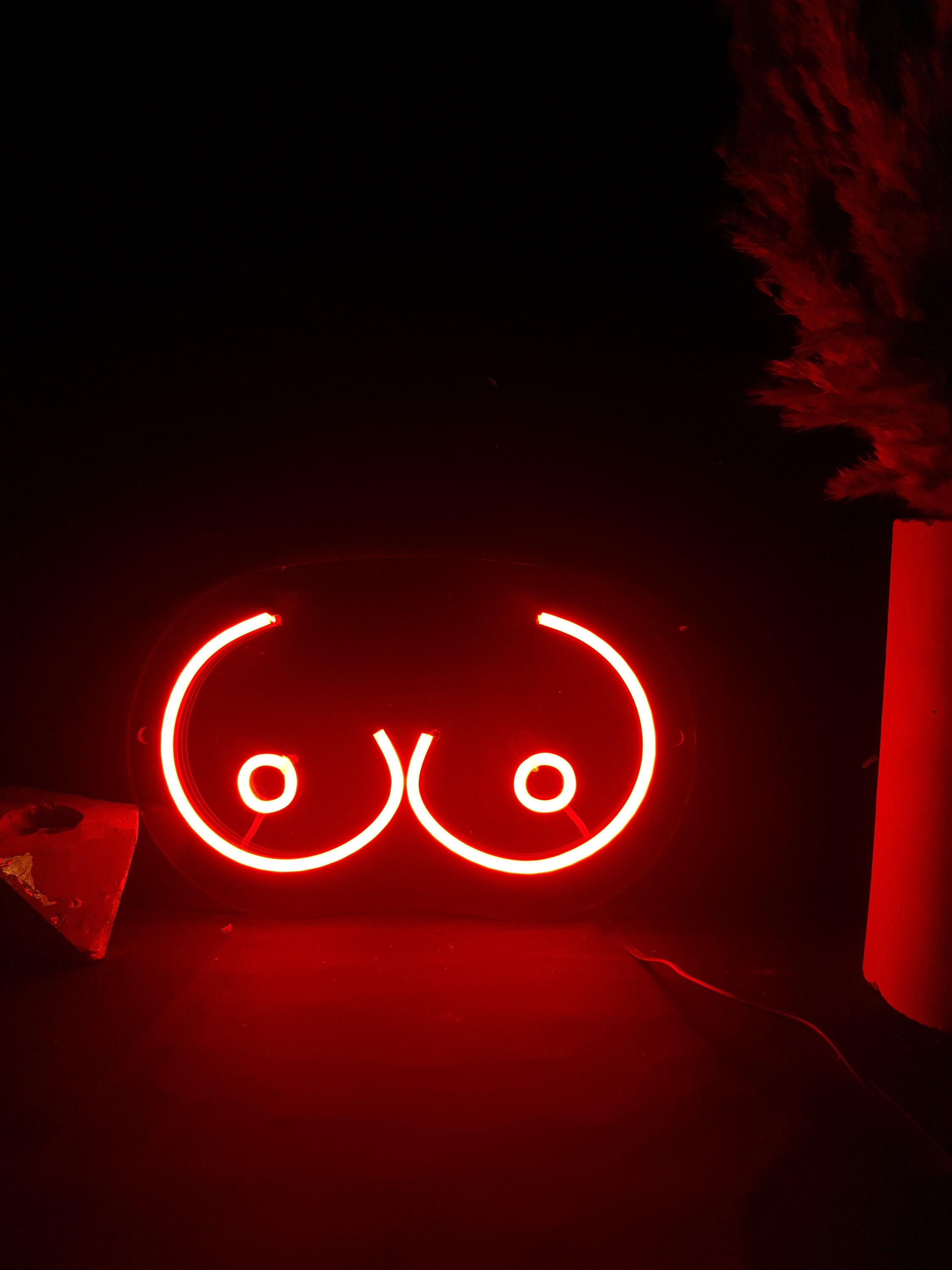 Led Boobs Neon Sign Led Neon Light Boobs for a Gift. Home Decor