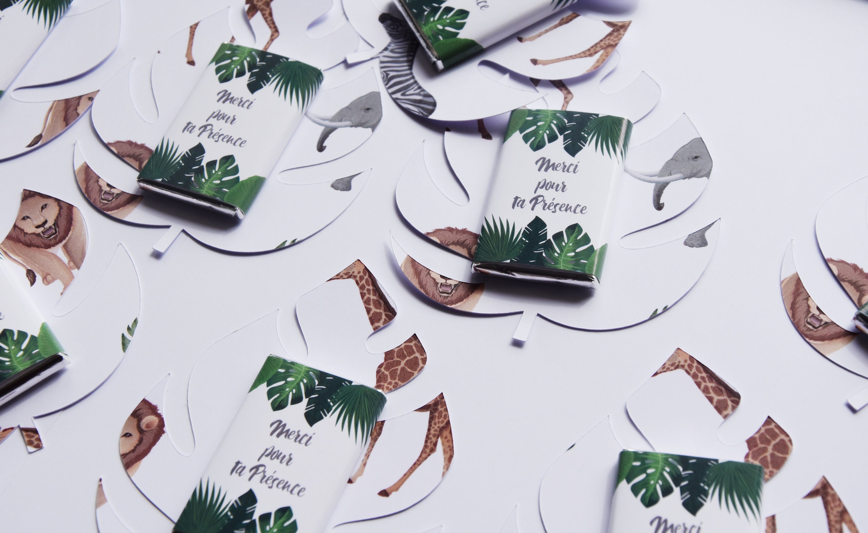 Lot de 10 Mini Chocolats Thème Jungle