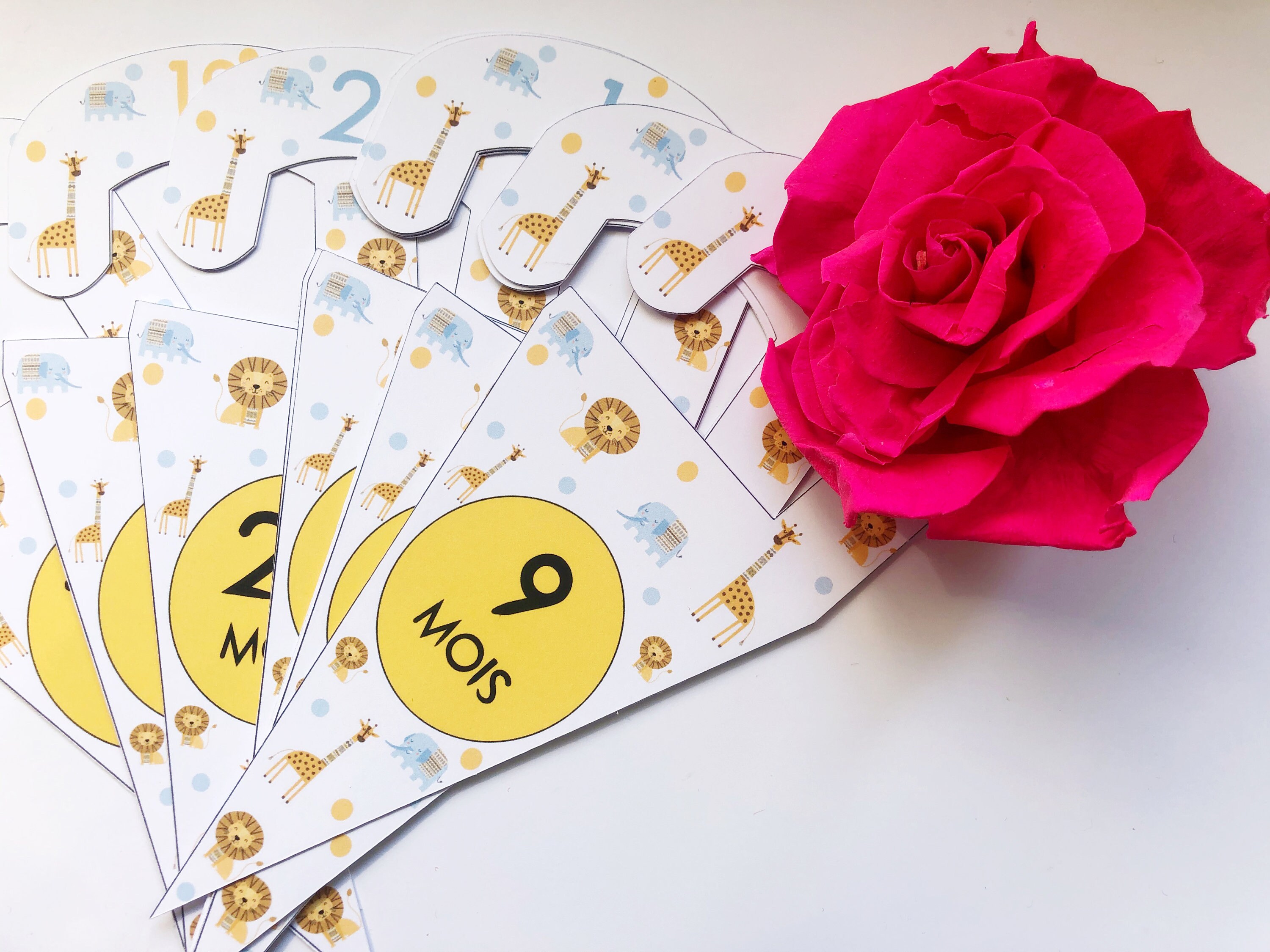 Set de 9 Séparateur Vêtements