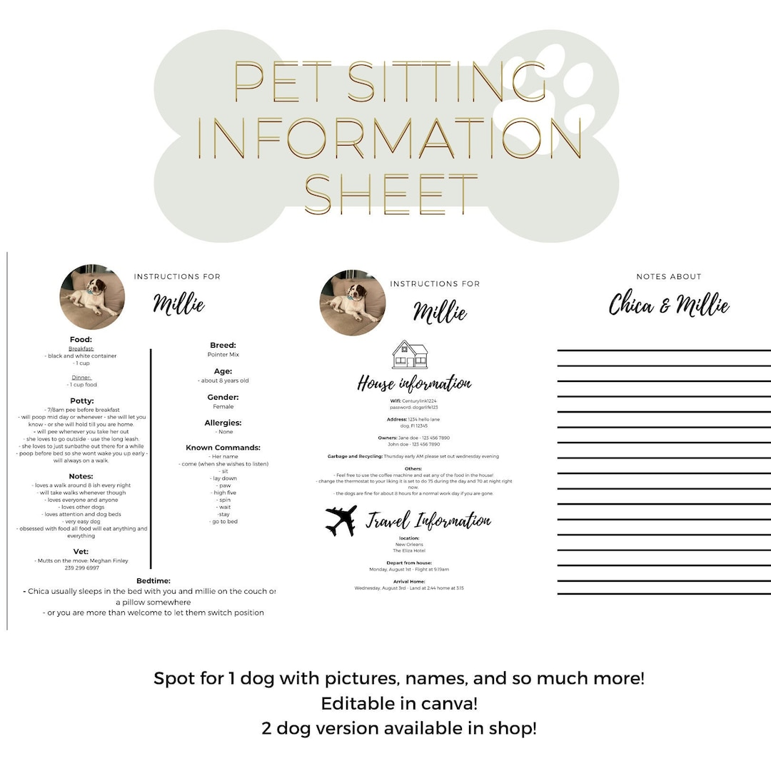 Pet Sitting Information Sheet - 1 Dog - Fully Editable - Canva - Dog ...