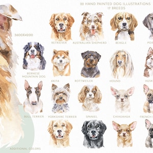17 Hunderassen Aquarell Clipart-Set. Hundeliebhaber Geschenk Instant Download. Haustier personalisierte Portrait PNG große Größe.