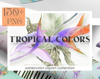 Paquete de acuarelas con flores tropicales. Flores coloridas, imágenes prediseñadas de vegetación bohemia. Estampado de moda, marcos de boda, ramos, coronas, alfabeto 150 PNG