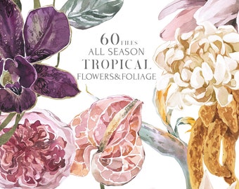 Boho Tropical Floral clipart Set. Burgundy and blush Watercolor Bohemian flowers, Fall Wedding invite. Plum White Orchid, Rose, Protea PNG