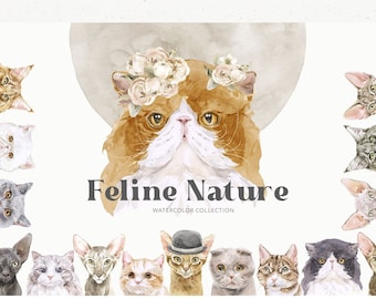 Feline Nature. Cat Character Portrait Creator Watercolor Clipart. Munchkin, Main coon, Abissinian, British, Devon rex, Exotic, Persian PNG
