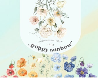 Poppy Flowers Rainbow Watercolor floral clipart. Boho Wedding Floral bouquets, frames, wreaths, gradient, seamless pattern, pampas grass PNG
