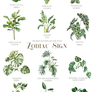 Aquarell Hauspflanzen Sternzeichen Poster druckbare trendige moderne tropische Wandkunst Sukkulenten, Kaktus, Schlangenpflanze Zimmerpflanzen Boho Druck