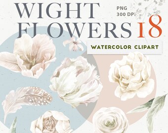 White Garden Flower, Greenery, Floral clipart set. Watercolor Boho design elements PNG. Tulip, Peony, Feathers clip art. Wedding Invite logo