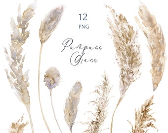 Pampasgras clipart set. Boho aquarel Boho bruiloft uitnodiging decor illustraties, gedroogde bladeren neutrale kleur, png