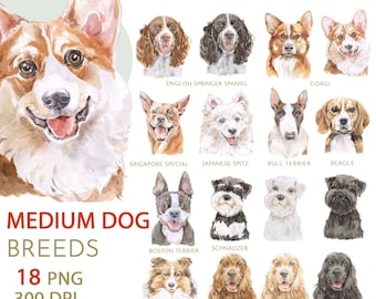 Middle Dog Breeds Watercolor clipart set. Medium Dog lovers gift Instant Download. Pet Personalized Portrait 15 PNG Large size