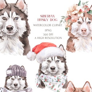 Siberian Husky Watercolor Clipart Set. Dog Lovers Christmas Gift ...