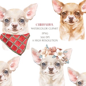 Chihuahua dog Watercolor clipart set. Dog lovers gift Instant Download. Boho Wedding Pet Personalized Portrait PNG Large size. Small Breeds