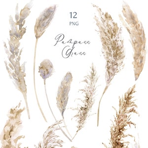 Pampas Grass clipart set. Boho Aquarel Boho Wedding Invitation decor illustraties, Gedroogde bladeren Neutrale kleur PNG