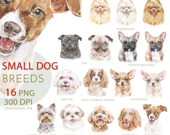 Small Middle Dog Breeds Watercolor clipart set. Dog lovers gift Instant Download. Pet Personalized Portrait 15 PNG Large size