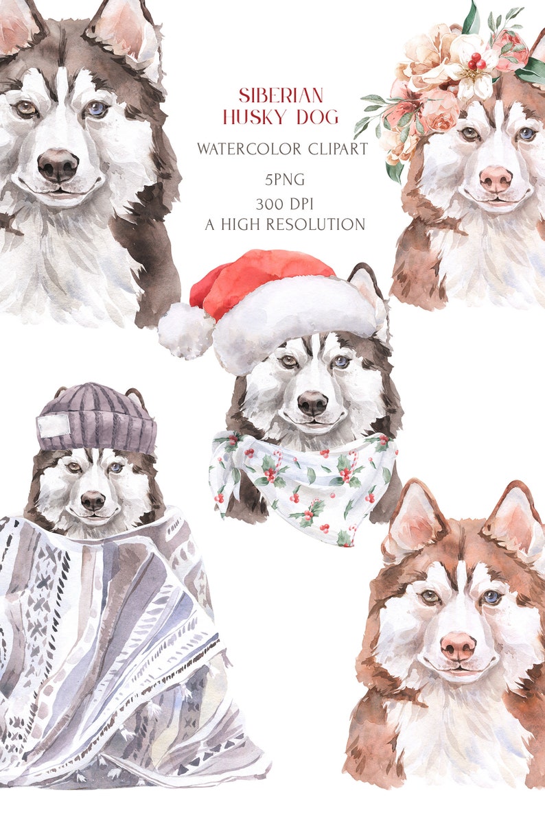 Siberian Husky Watercolor Clipart Set. Dog Lovers Christmas - Etsy
