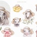Farm Baby Animals Watercolor Clipart Set. Goat, Horse, Cow, Chic, Bunny ...