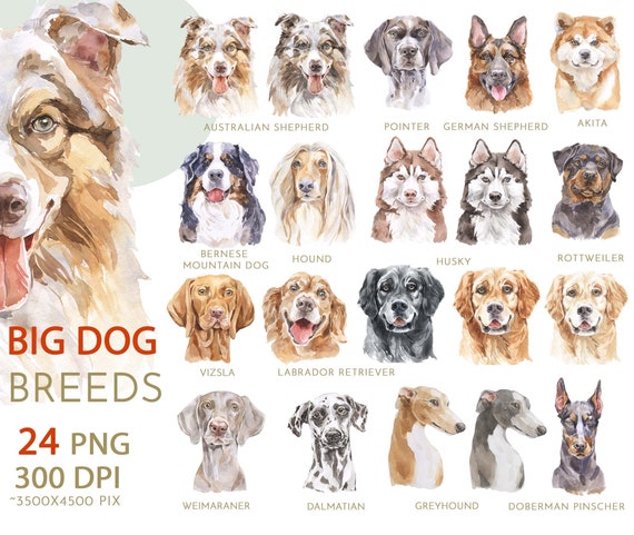 Big Dog Breeds Watercolor Clipart Set. Dog Lovers Gift Instant 