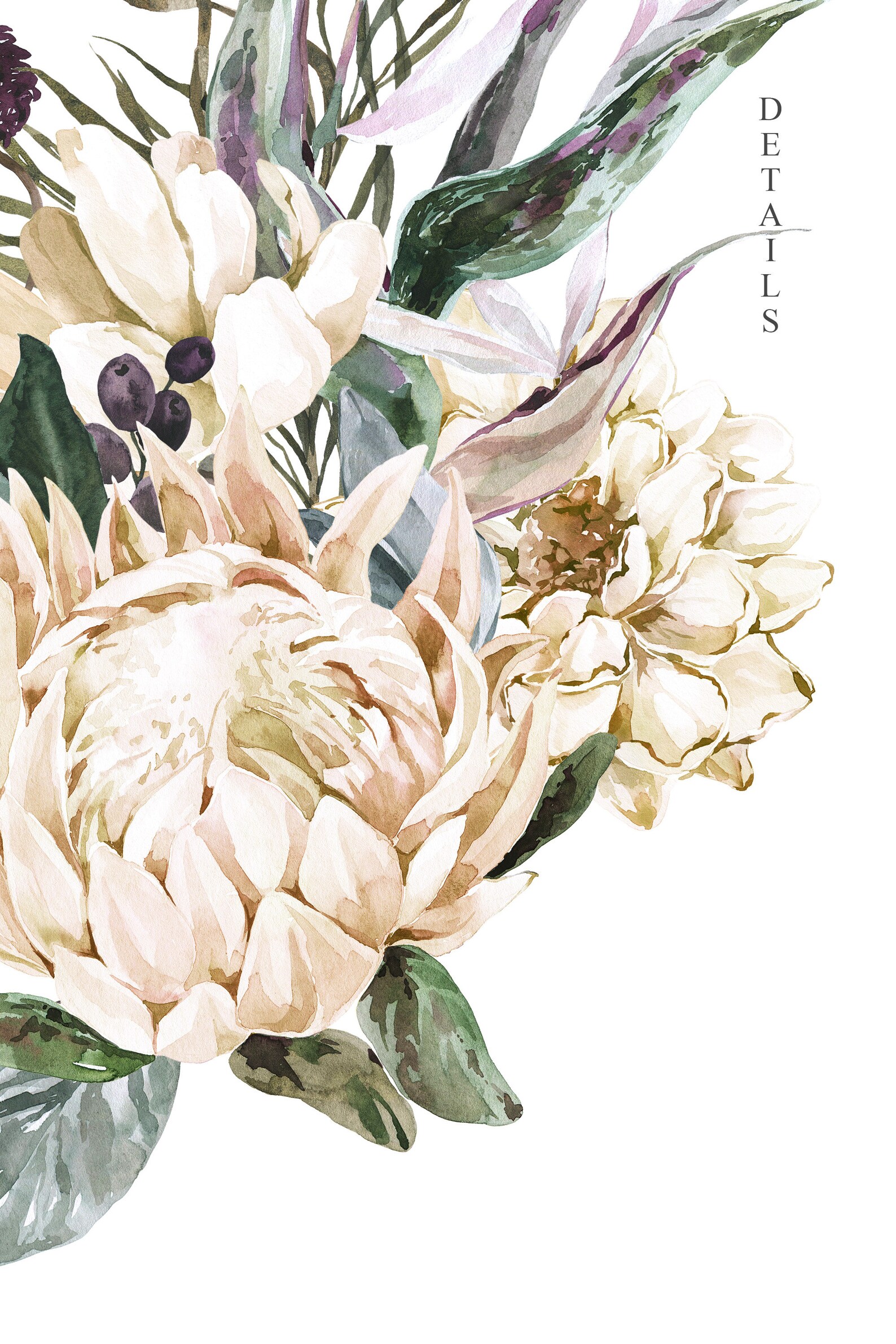 Tropical Boho White Protea Floral Frame clipart Set. | Etsy