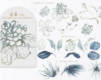 Christmas Floral clipart. Winter Light and dark Blue flowers and leaves Watercolor PNG set, Woodland Gentle Boho Wedding Clip art