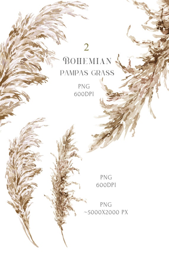 Pampas Grass clipart set. Boho Watercolor Bohemian Wedding Invitation decor clip art Dry leaves Neutral color PNG PDF 600 dpi Commercial use