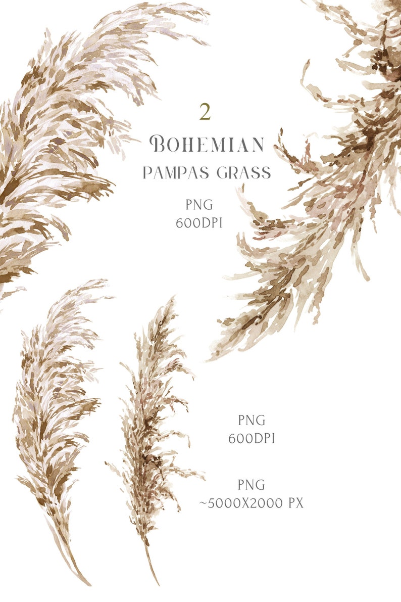 Op de afbeelding: Vier aquarel illustraties van pampasgras in tinten bruin en beige. De illustraties zijn op een witte achtergrond. De tekst "2 BOHEMIAN PAMPAS GRASS PNG 600DPI PNG ~5000X2000 PX" staat in de afbeelding.